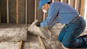 Best Eco-Friendly or Green Insulation Solutions  in South Lebanon, OH