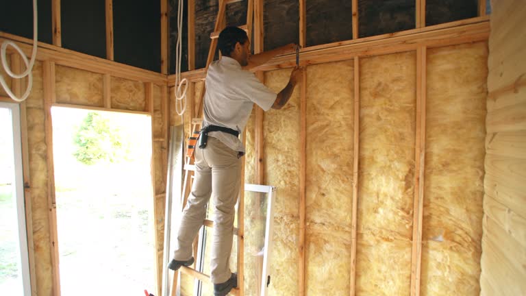 Best Garage Insulation  in South Lebanon, OH